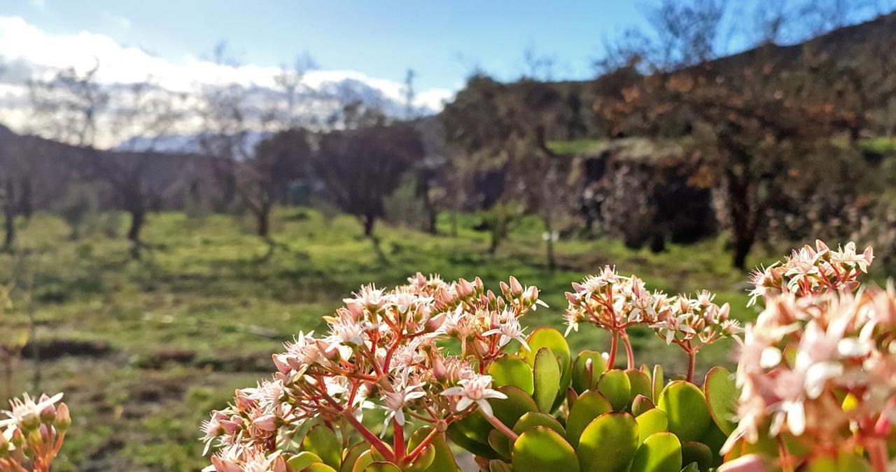 Cortijo AguaChá Bayacas Exterior foto