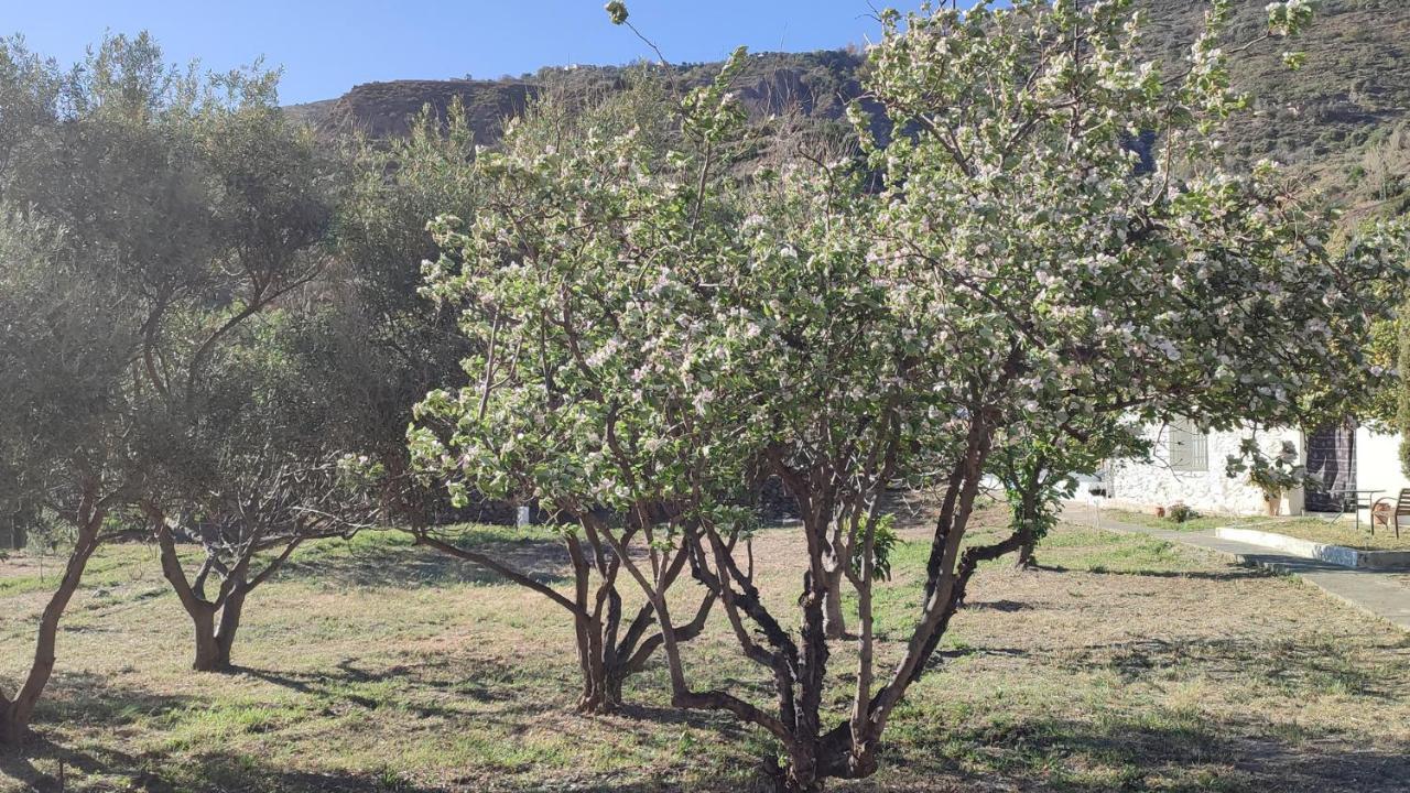 Cortijo AguaChá Bayacas Exterior foto