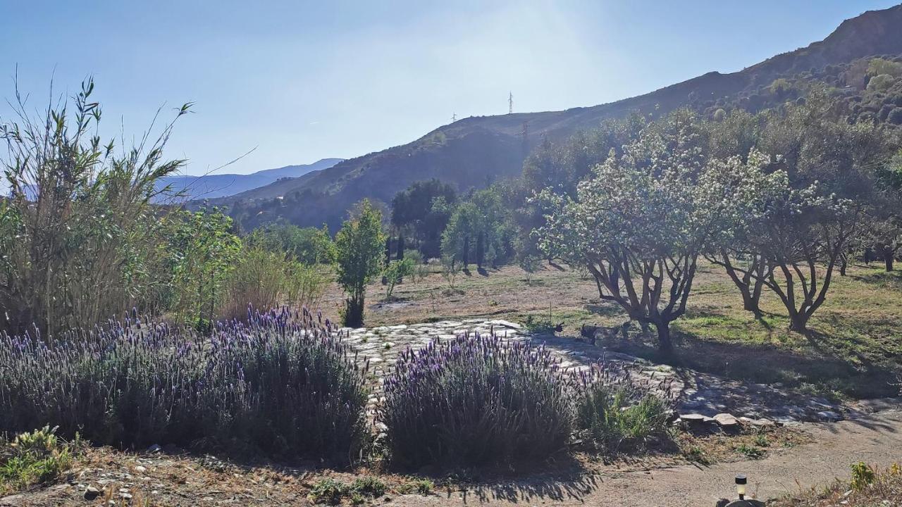 Cortijo AguaChá Bayacas Exterior foto