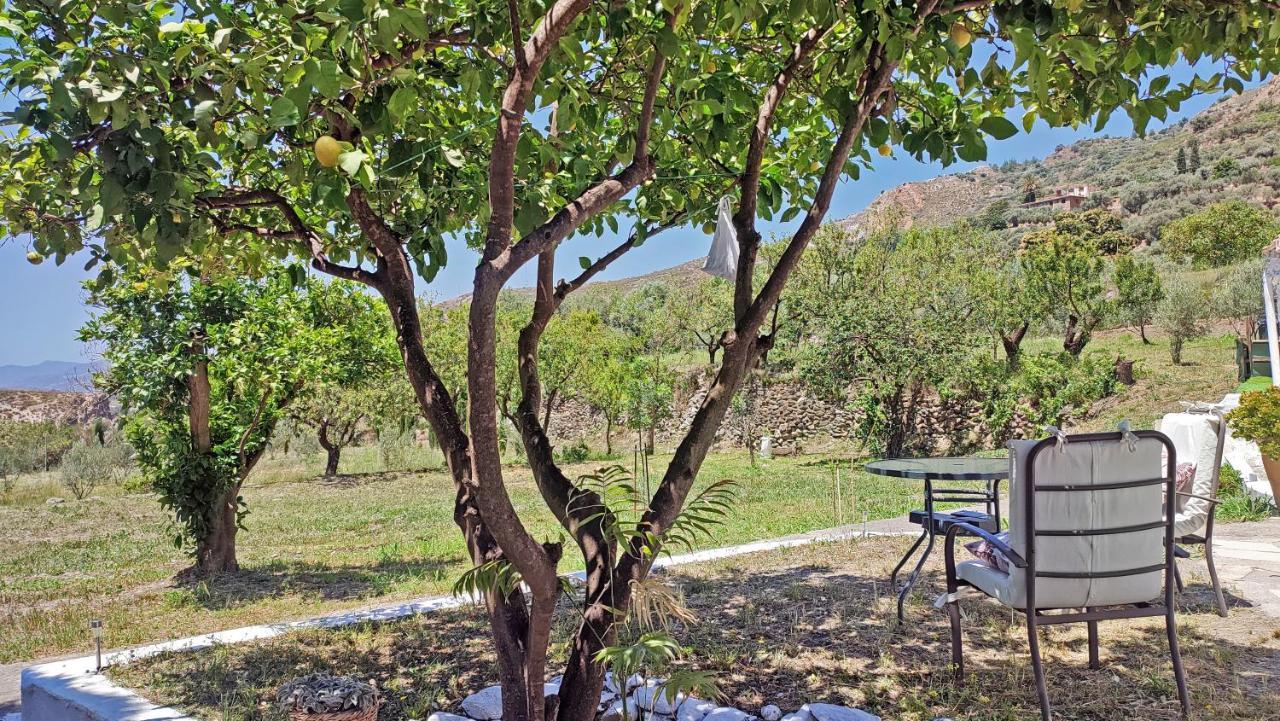 Cortijo AguaChá Bayacas Exterior foto